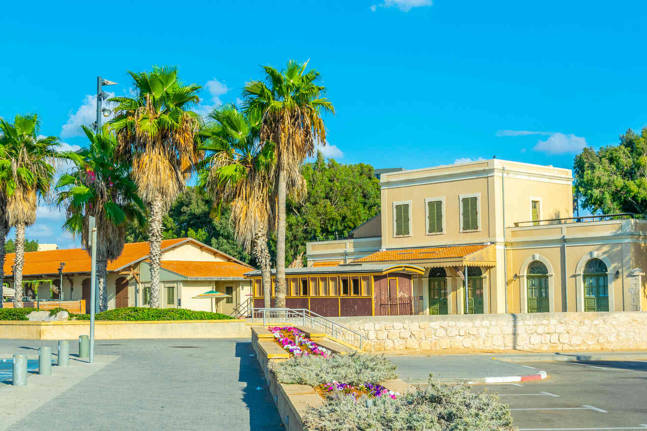 A sunny esplanade lined with tall palm trees leading to a historic-looking building under a blue sky.